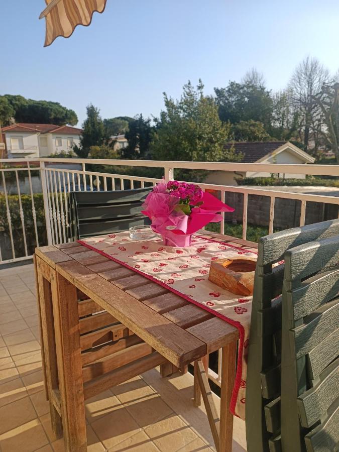 לידו די קאמאיורה Le Palme 98 "Casa Vacanze" מראה חיצוני תמונה
